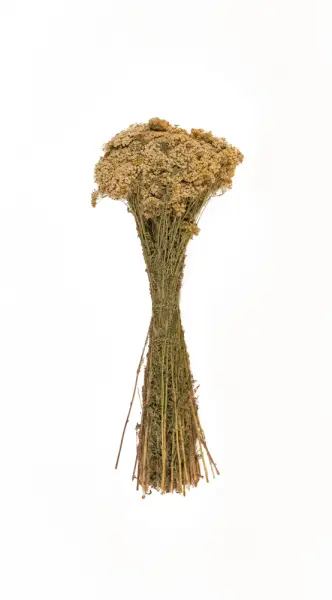 Травы для бани Woodson, тысячелистник Травы для бани Woodson, тысячелистник